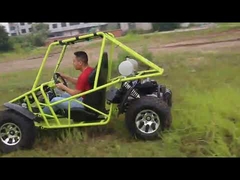 150 cc Go Kart