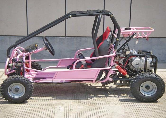 110cc Kids Off Road Go Kart CVT Şanzımanlı / Geri vitesli İki Koltuk Arka Raf