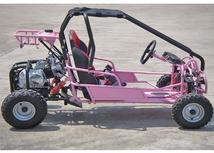 110cc Kids Off Road Go Kart CVT Şanzımanlı / Geri vitesli İki Koltuk Arka Raf