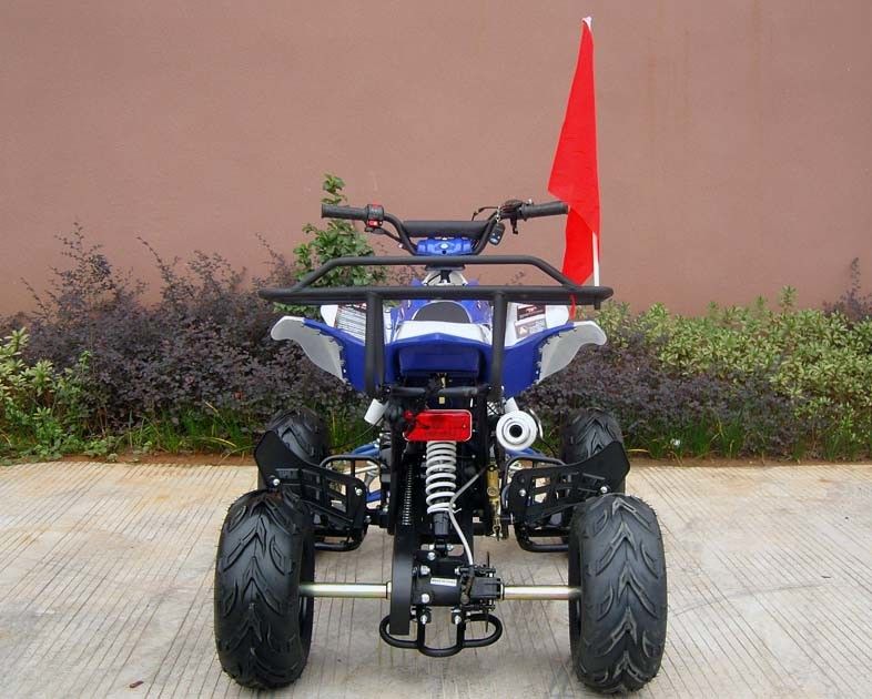 Yetişkinler İçin Ön / Arka Diskli Fren Dört Tekerlekli, 110cc Dört Tekerlekli Elektrikli Çalıştırma