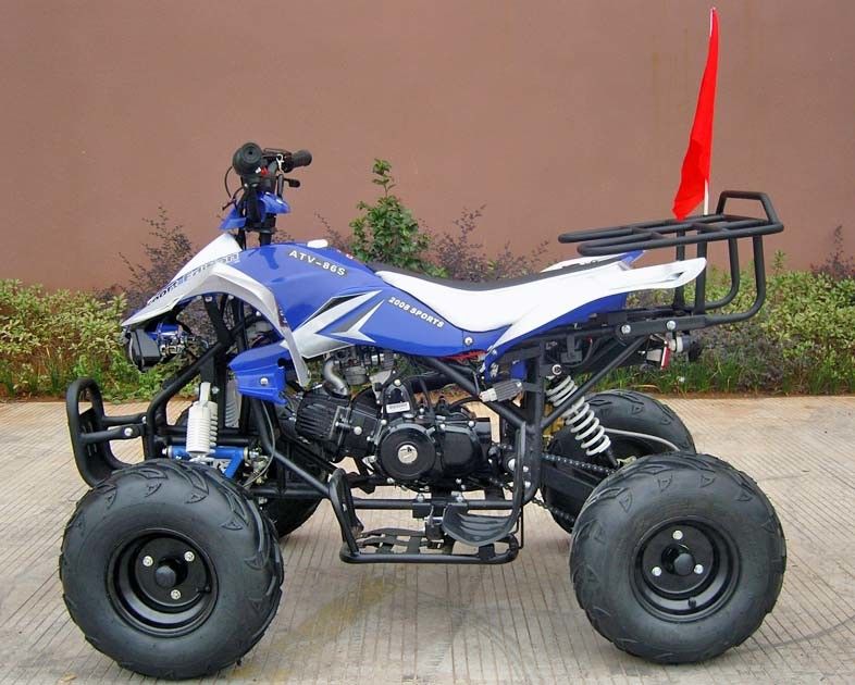 Yetişkinler İçin Ön / Arka Diskli Fren Dört Tekerlekli, 110cc Dört Tekerlekli Elektrikli Çalıştırma