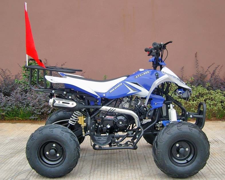 Yetişkinler İçin Ön / Arka Diskli Fren Dört Tekerlekli, 110cc Dört Tekerlekli Elektrikli Çalıştırma