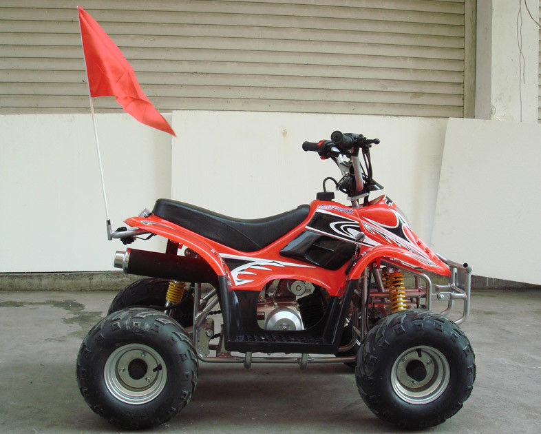 Küçük Boyutlu 4 x 4 Yardımcı Program Atv 70cc 90cc 110cc, İki Tekerlekli Sürücülü Dört Çocuk