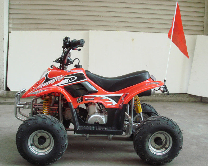 Küçük Boyutlu 4 x 4 Yardımcı Program Atv 70cc 90cc 110cc, İki Tekerlekli Sürücülü Dört Çocuk