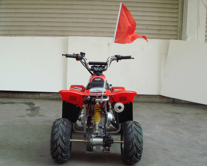 Küçük Boyutlu 4 x 4 Yardımcı Program Atv 70cc 90cc 110cc, İki Tekerlekli Sürücülü Dört Çocuk
