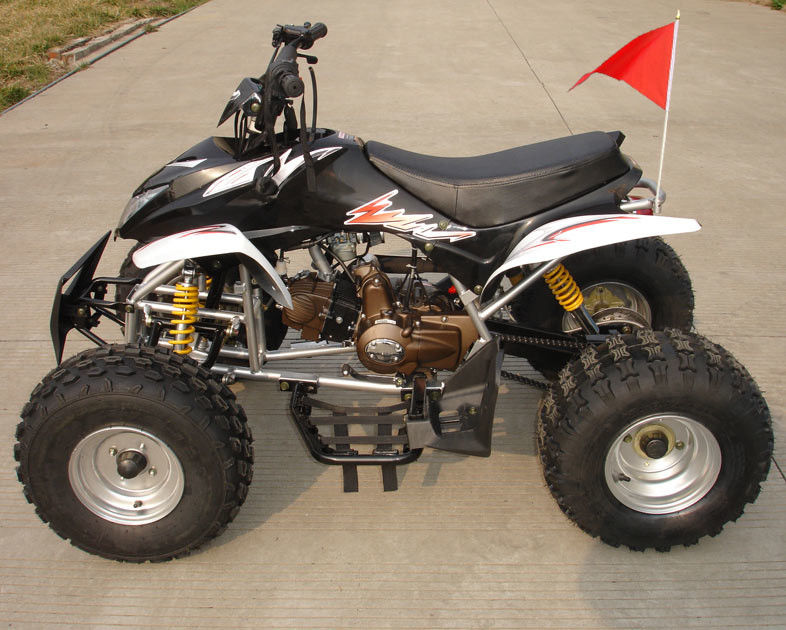 Orta Boy Dört Tekerlekli ATV 110cc Tam Otomatik Ters Ön Çift Tamburlu Frenli