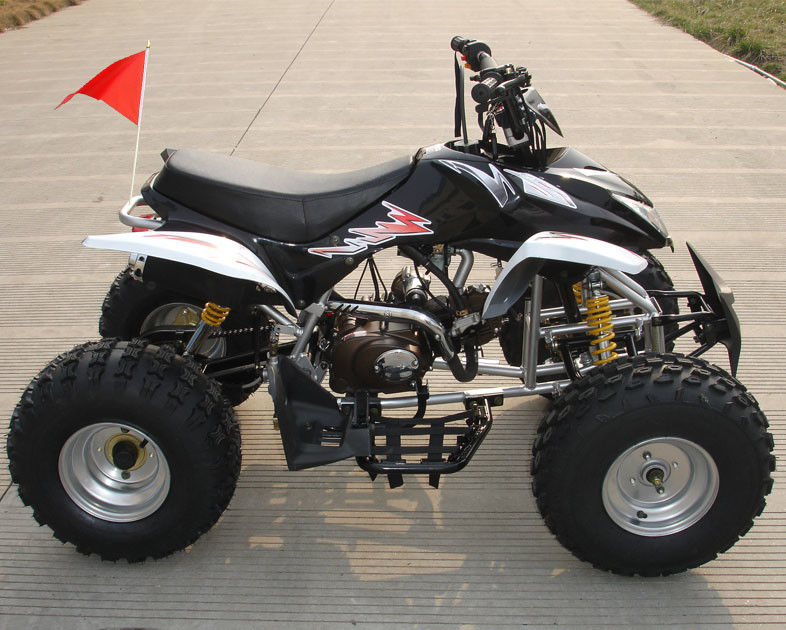 Orta Boy Dört Tekerlekli ATV 110cc Tam Otomatik Ters Ön Çift Tamburlu Frenli