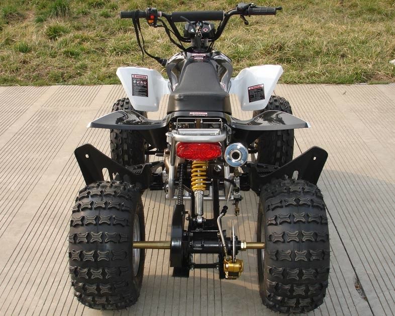 Orta Boy Dört Tekerlekli ATV 110cc Tam Otomatik Ters Ön Çift Tamburlu Frenli