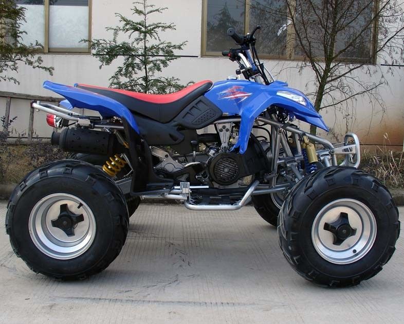 Ekstra Büyük Boy 10 