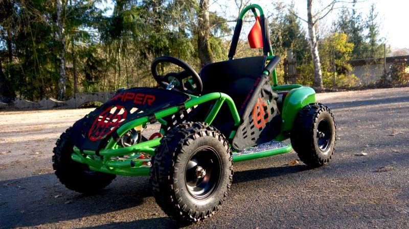 1000 W 48v Fırçalı DC Motor Atv Tüm Arazi Aracı Büyük Yumuşak Koltuklu 2 Koltuk