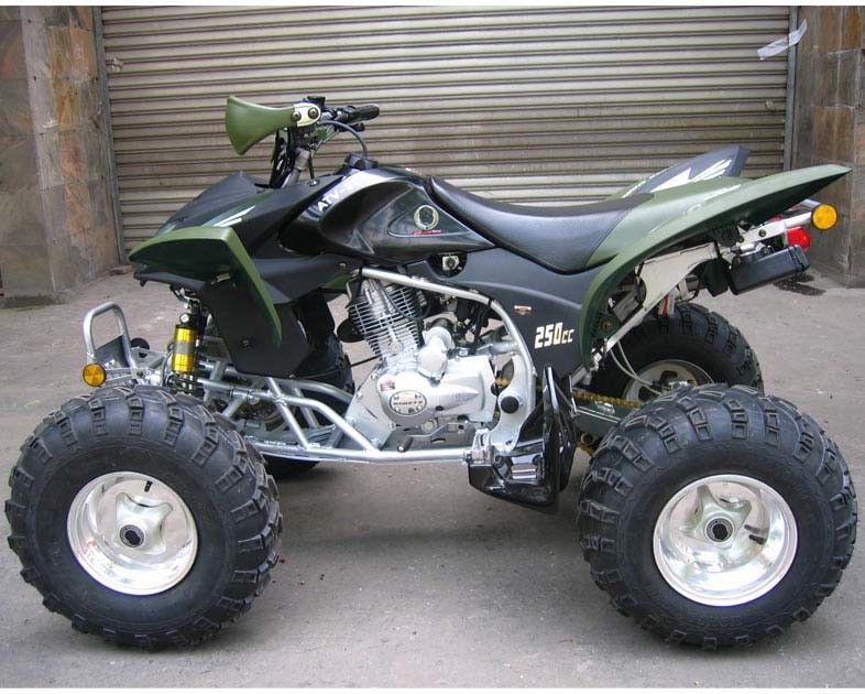 Ekstra Büyük Gençlik Yarış Atv 250cc Atv Quad Bike CDI Elektrikli Çalıştırma Kılavuzu Debriyaj