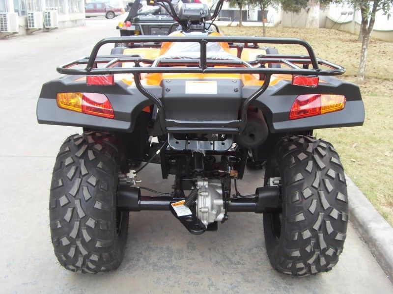300CC Yardımcı Araç Atv 40.3mile / Y, 2 Koltuklu, Çift Kol / Tek Kol