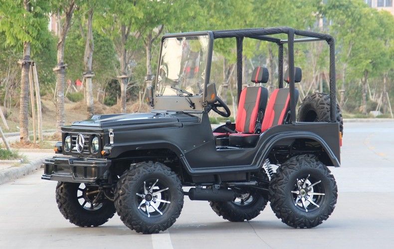 Mini Jeep 4WD Yarış ATV Spor Go Kart Buggy Yetişkin, 300cc Go Kart