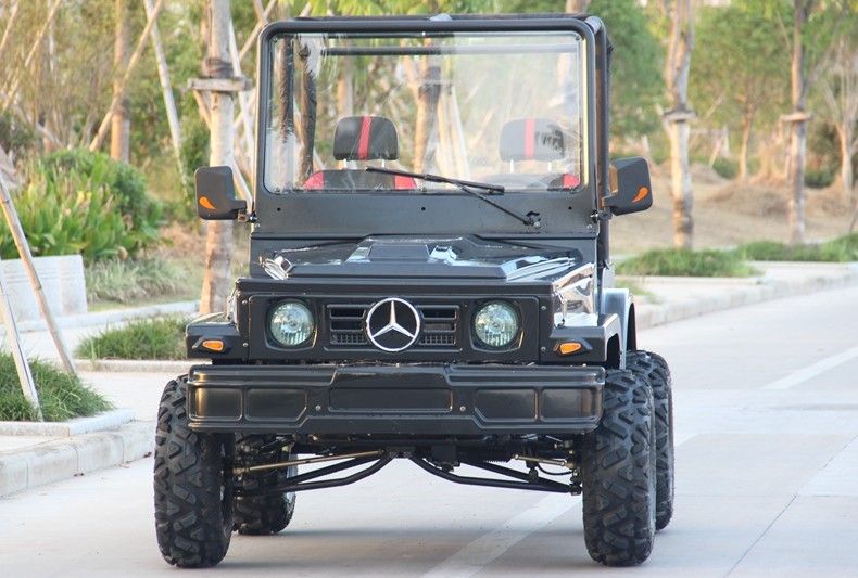 Mini Jeep 4WD Yarış ATV Spor Go Kart Buggy Yetişkin, 300cc Go Kart