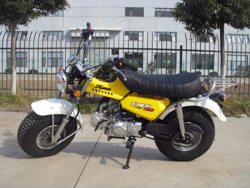 Skyteam T - Rex 125 125cc Mini Bisiklet, 4 Vitesli 2 Kişilik Motosiklet