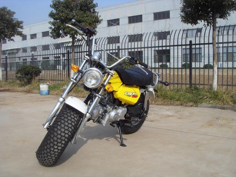 Skyteam T - Rex 125 125cc Mini Bisiklet, 4 Vitesli 2 Kişilik Motosiklet