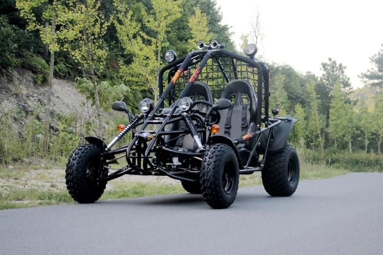 Orman Yolu / Riverbed İçin BÜYÜK Tek Silindir 4 Zamanlı 200cc Dune Buggy