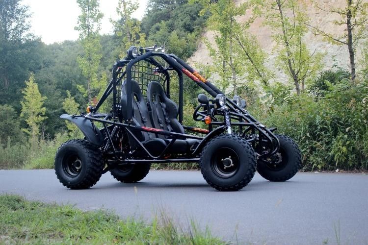 Orman Yolu / Riverbed İçin BÜYÜK Tek Silindir 4 Zamanlı 200cc Dune Buggy
