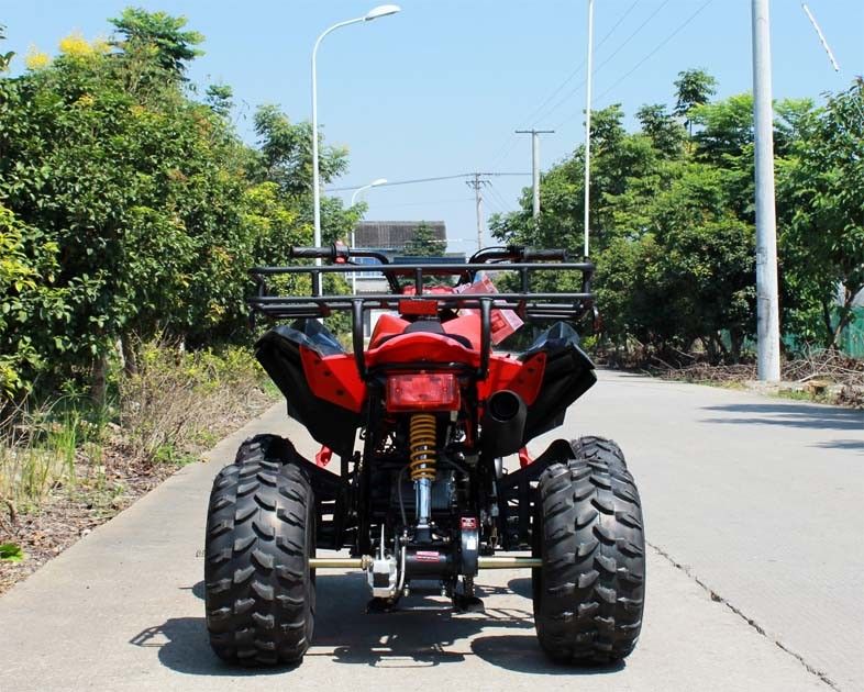 13.9HP Su Soğutmalı Gençlik Yarış ATV 200cc 4 Wheeler Arka Diskli Frenli