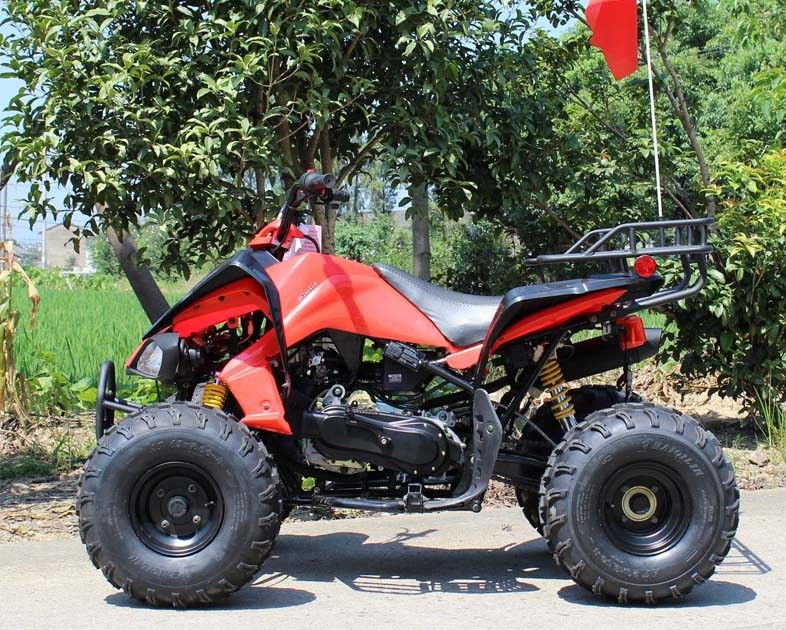 13.9HP Su Soğutmalı Gençlik Yarış ATV 200cc 4 Wheeler Arka Diskli Frenli