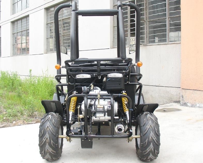 Küçük 3 Hız 110cc Go Kart Buggy İkili ATV, CDI Electirc Start ile