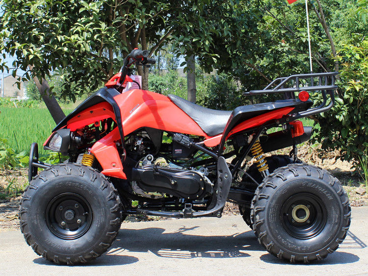 200cc Dört Tekerlekli ATV, 8 