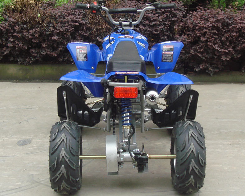 Orta Boy 110CC Gençlik Yarış ATV Hava 7 