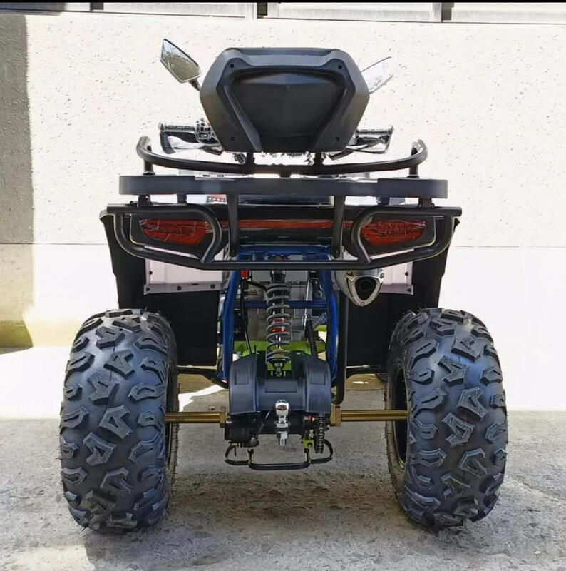 Sıcak Satış ATV 200cc 300cc Arazi Aracı Popüler Çin Güç Motor Tekerlekleri Fren Şanzıman Otomatik