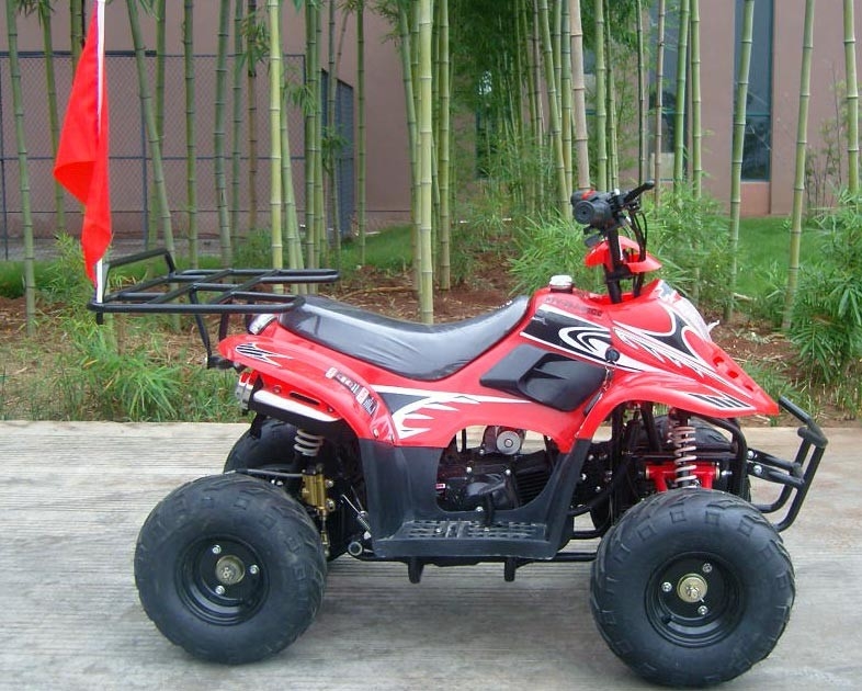 Ön Çift Salıncak Kolu 70cc ATV Quad Bike 80kg Max Yükleme Yüksek Performans
