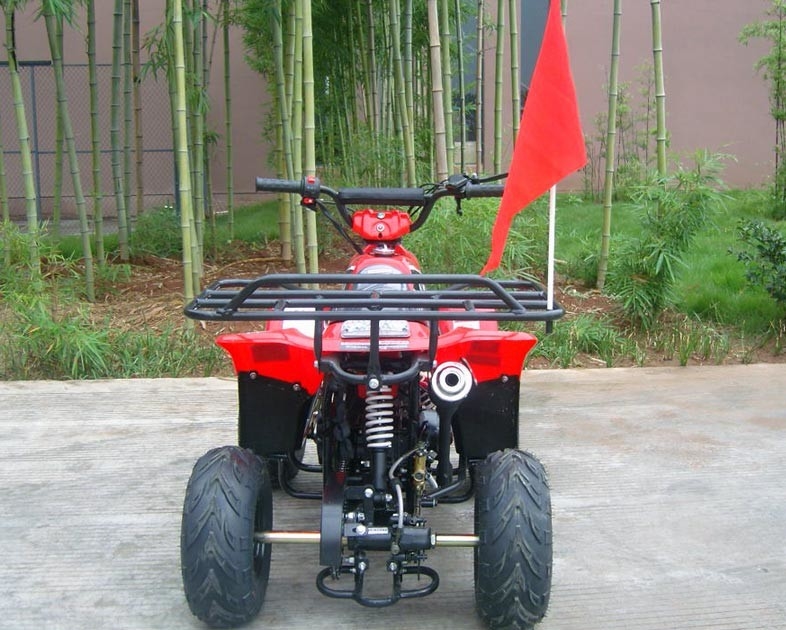 Ön Çift Salıncak Kolu 70cc ATV Quad Bike 80kg Max Yükleme Yüksek Performans