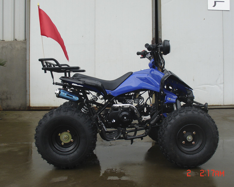 110cc 8 