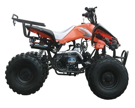 Motor 125cc Tam Otomatik Gençlik Yarış ATV, Ters Maks. Yük 65kg Elektrikli Start ile