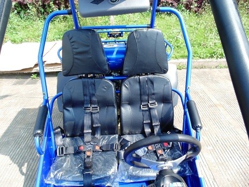 2.25 Gal 17.4 HP CDI Ateşleme 300cc CVT EFI Go Kart Buggy
