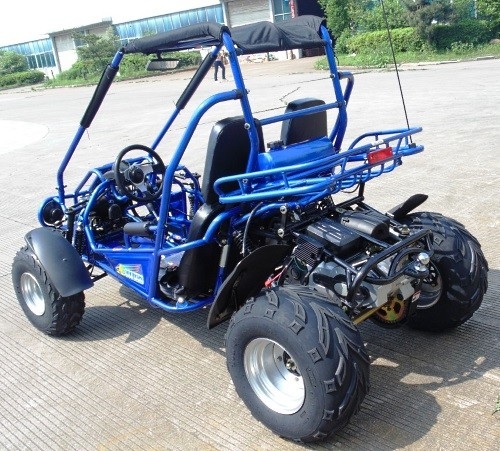 2.25 Gal 17.4 HP CDI Ateşleme 300cc CVT EFI Go Kart Buggy