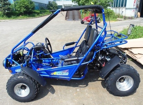 2.25 Gal 17.4 HP CDI Ateşleme 300cc CVT EFI Go Kart Buggy