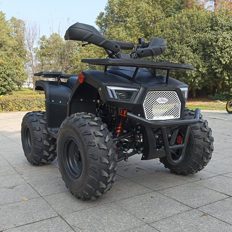 125cc Dört Tekerlekli Atv Dört Zamanlı Tek Silindirli Maksimum Beygir Gücü 8.0kw 9500r / Min