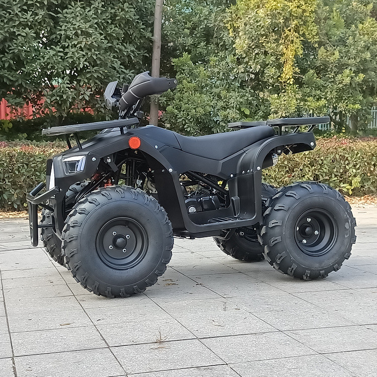 125cc Dört Tekerlekli Atv Dört Zamanlı Tek Silindirli Maksimum Beygir Gücü 8.0kw 9500r / Min