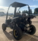 200cc Mini Go Kart Buggy Fully Automatic With Reverse