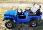 Air Cooled Single Cylinder 125CC CDI Mini Gas Golf Cart
